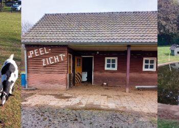 Dierenweide Peelzicht Venhorst